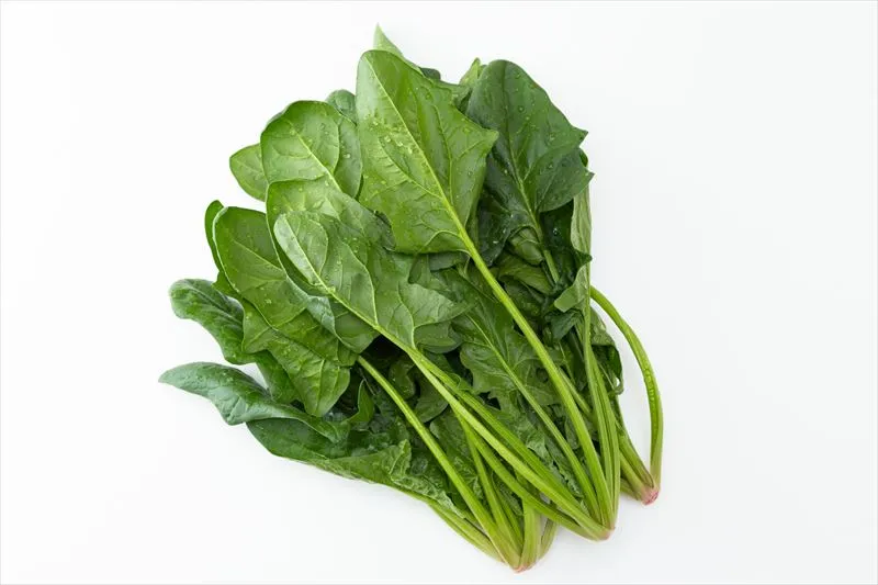 葉茎菜類の種類について